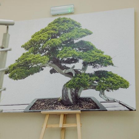 Hotel Bonsai ニエムツァ エクステリア 写真