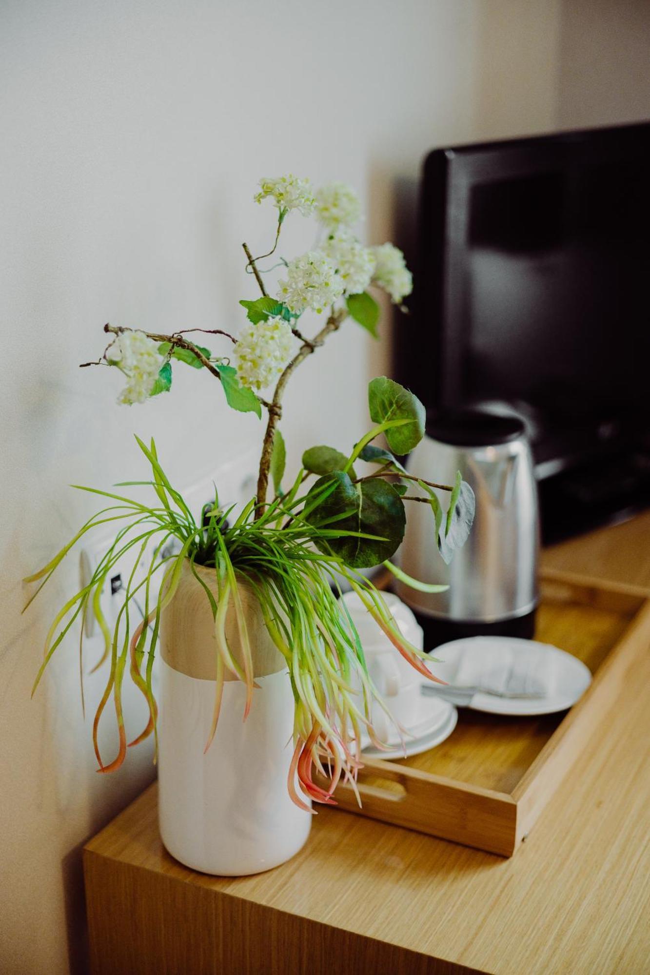 Hotel Bonsai ニエムツァ エクステリア 写真
