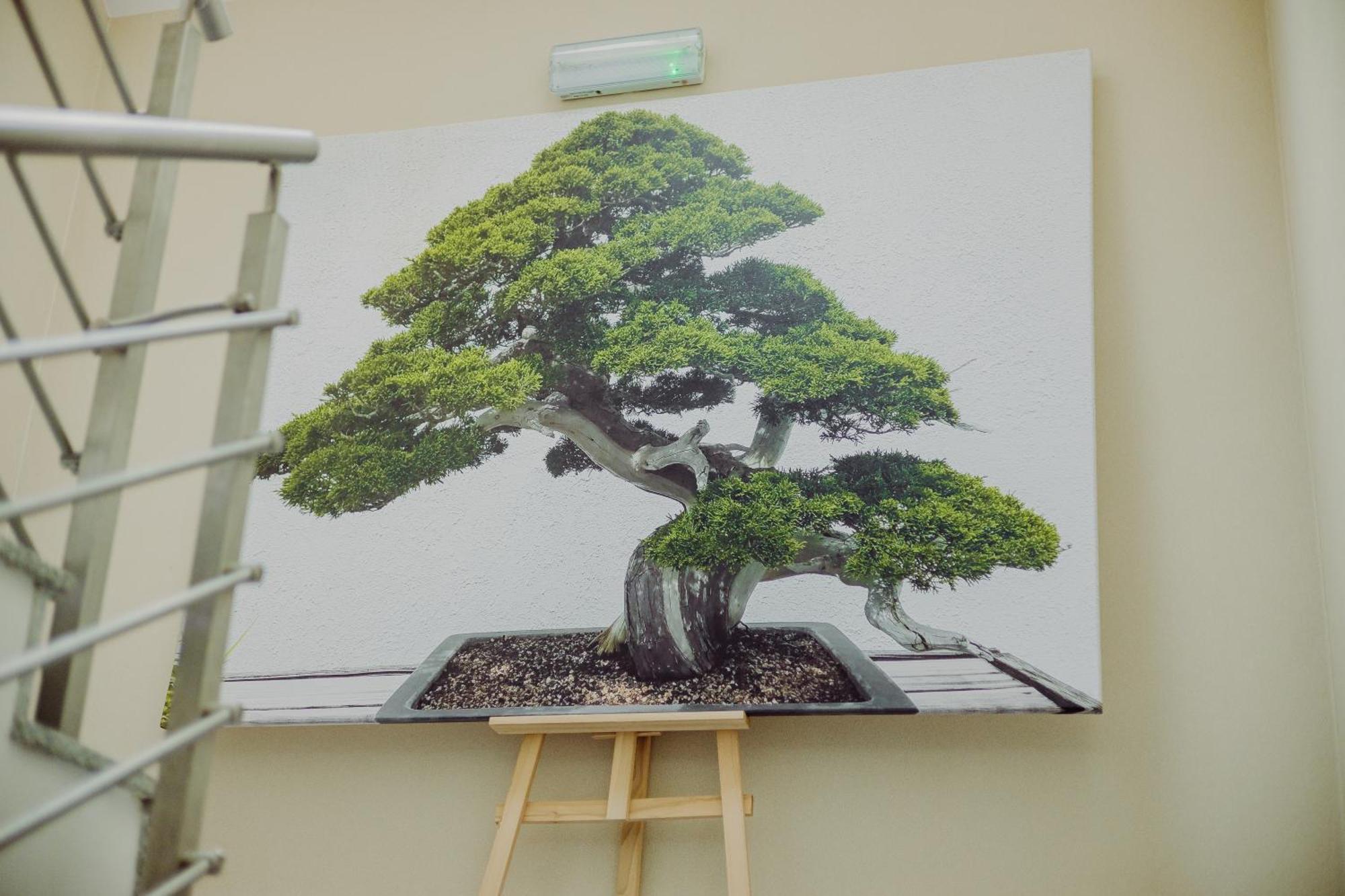 Hotel Bonsai ニエムツァ エクステリア 写真