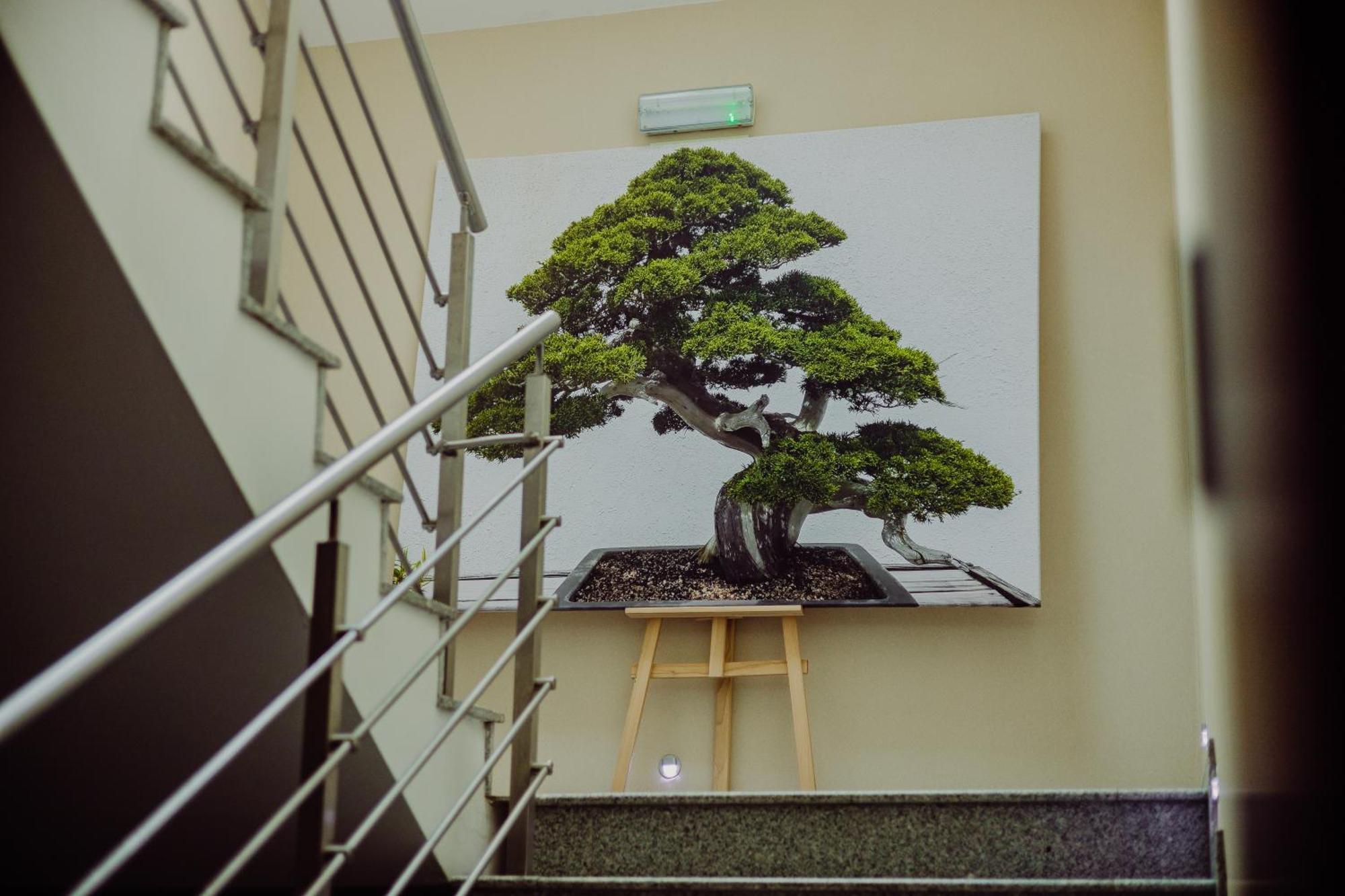 Hotel Bonsai ニエムツァ エクステリア 写真