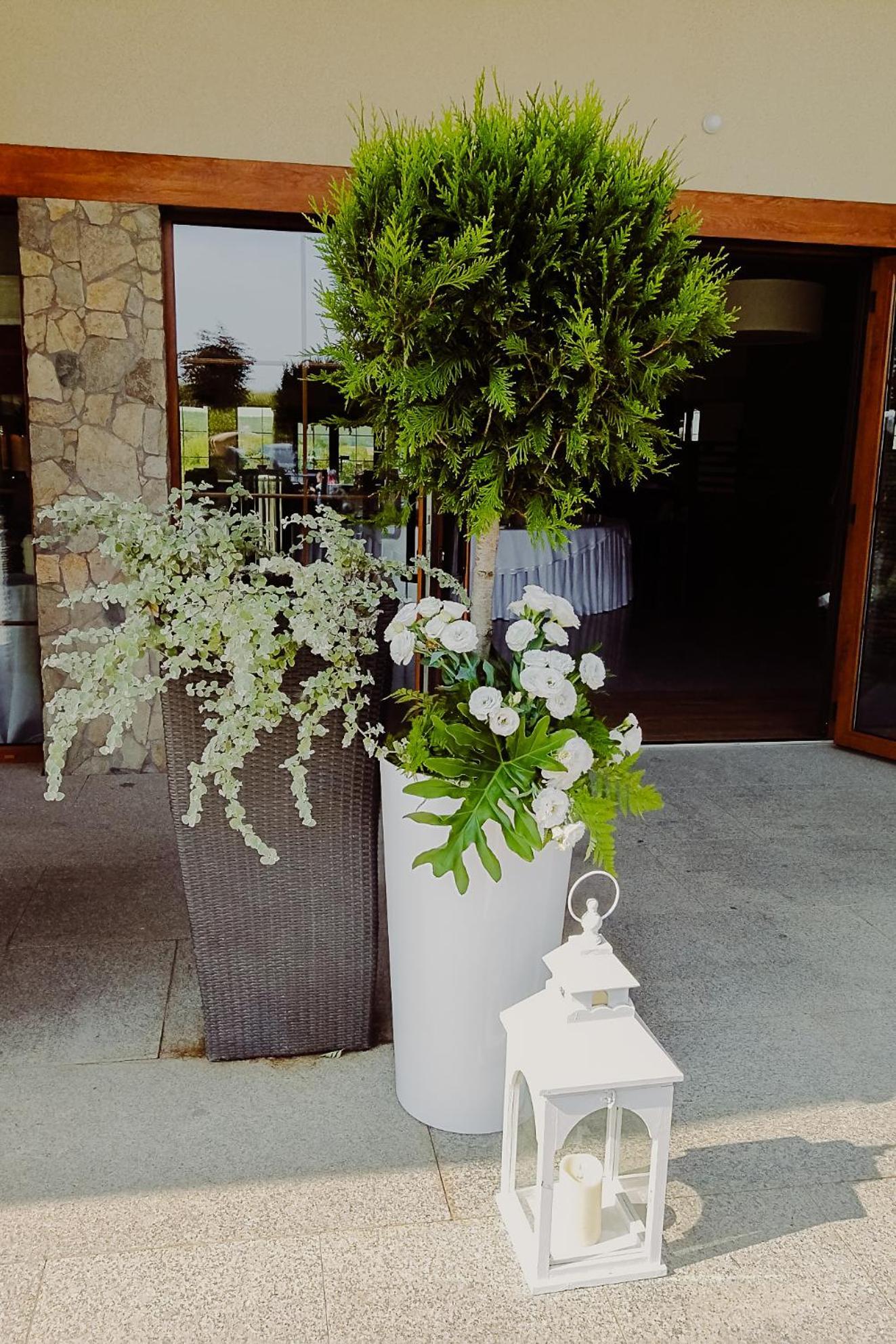Hotel Bonsai ニエムツァ エクステリア 写真